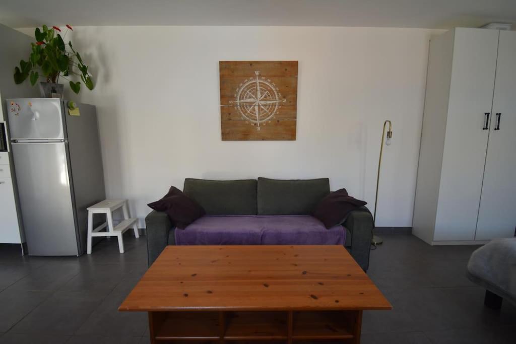 Grand Studio Independant Avec Jardin Goussainville  Dış mekan fotoğraf